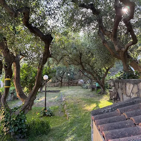 Villa Artemis