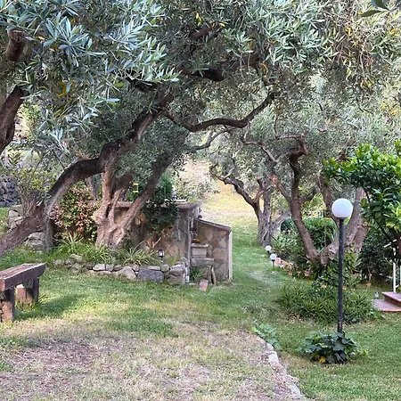 Artemis Villa