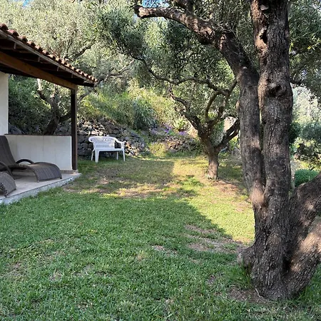 Villa Artemis